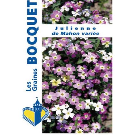 Julienne de Mahon le sachet de 1700 graines (1g) (1/2)