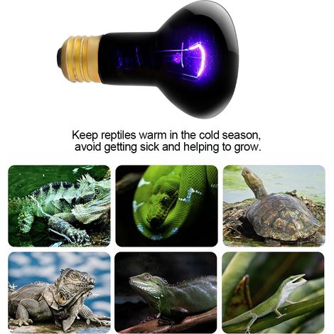 Ampoule chauffante E27 à effet clair de lune simulé pour reptiles et amphibiens, 110 V, 100 W (1/5)