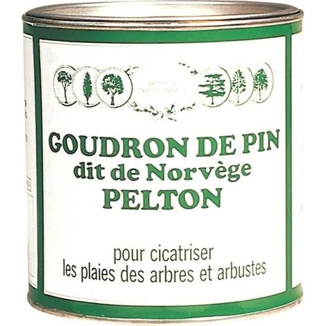 PELTON Heilender Kiefernteer, 800 g Centrale Brico