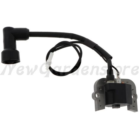 ORIGINAL LONCIN Zündspule 55800394 270920339-0001