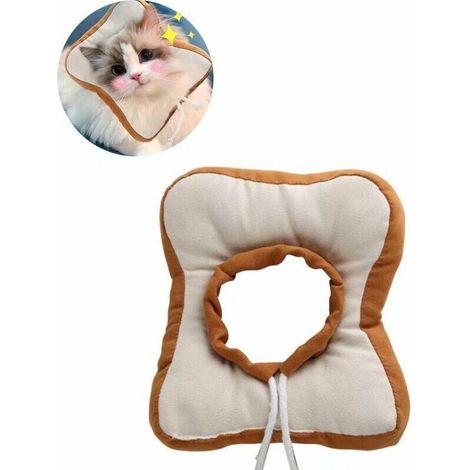 Elizabeth Circle Katzen-Rehabilitationshalsband (1/5)