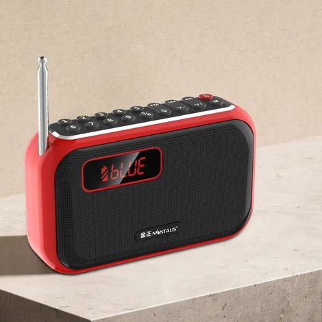 Mini radio FM de poche, écran LED, récepteur radio haute sensibilité, haut-parleur Bluetooth avec caisson de basses, microphone et fonction d'enregistrement. (1/5)