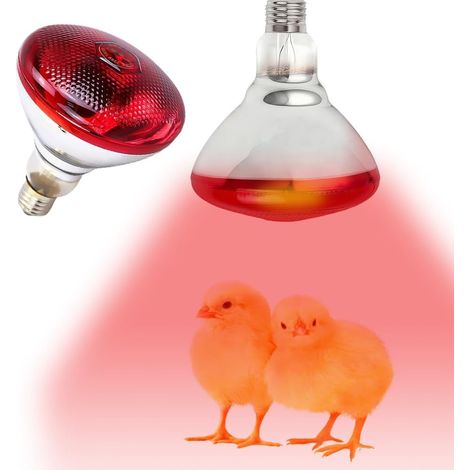 Lampe à lumière rouge pour reptiles (1 pièce), lampe chauffante infrarouge 150 W pour terrariums, ampoule rouge E27 pour reptiles, élevages de poulets, mammifères et volailles.