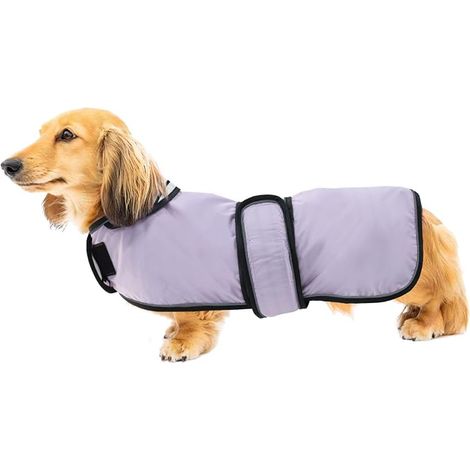 Imperméable Veste pour Chien Teckel réglable et légère Manteau avec Sangles réfléchissantes et Trou pour Harnais Vêtement pour Petit Moyen Gros Chiens-Violet-M (1/5)