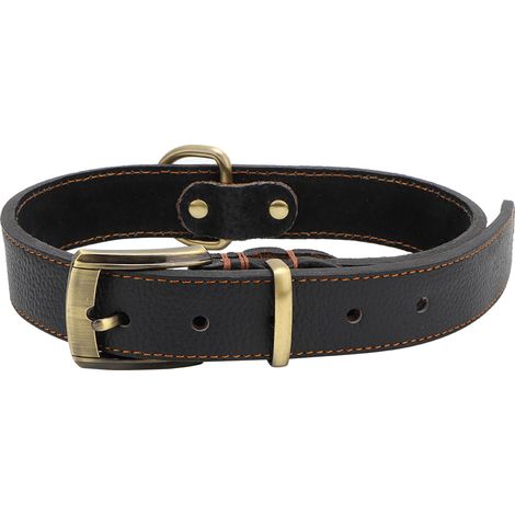 Laisse En Cuir Réglable Avec Boucle En Laiton Pour Chien - Résistante Et Confortable Pour Dressage Et Promenade - Taille M (1/5)