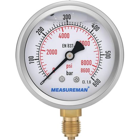 Pressure gauge, 2.5 inch glycerine pressure gauge, 0-600 bar, 304 stainless steel housing, 1/4" BSP bottom connection (1/5)