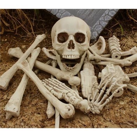 27 Stück 12 Pfund Beutel Knochenskelett Schädel Halloween Kunststoff (1/3)