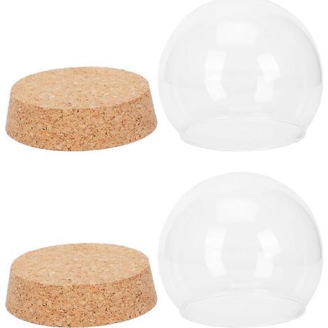 Cloches décoratives en verre pour fleurs stabilisées, lot de 2 - Stables et compactes (1/5)