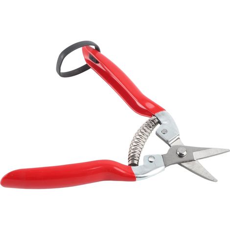 Cisaille de taille, inox, pour fruits et taille de plantes (1/5)