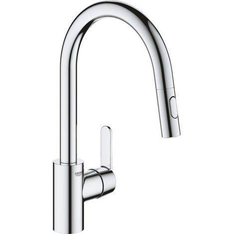 Get Miscelatore monocomando per lavello 'collo di cigno' con doccia estraibile a 2 getti (31484001) (1/5)