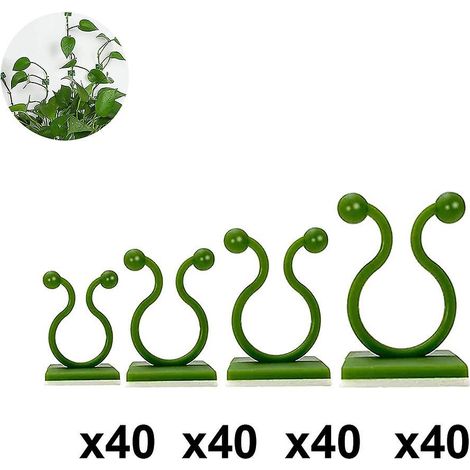 160 supports muraux pour plantes grimpantes, pinces pour plantes, fixations murales pour vignes, crochets de fixation invisibles auto-adhésifs pour plantes de jardin, S (1/4)