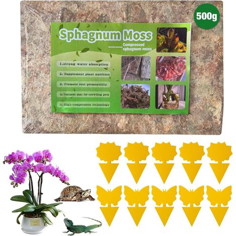 Mousse de Sphaigne, 500g Sphaigne Nutrition Engrais Organique pour Orchidées, Intérieur Humidité Rempotage Sol D'orchidé pour Plantes Carnivores Ou Orchidées (1/5)
