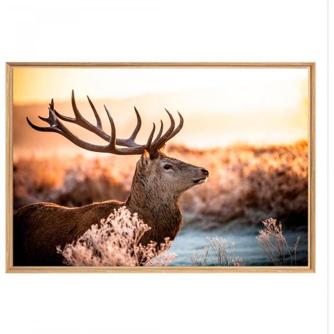 Tableau mural mat encadré chevreuil 65x97 cm - Tableau Mural Décoratif - Image Encadrée Imprimée en HD - Impression 65x97 cm sur Fibres de Bois FSC - Finition Mate - Fabriqué en France (1/5)