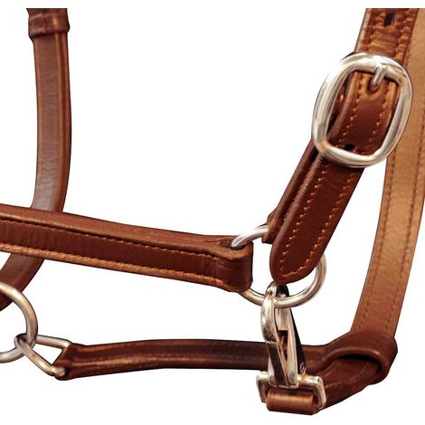 Maison Exclusive - Echtleder Halfter Stallhalfter verstellbar bra (1/3)