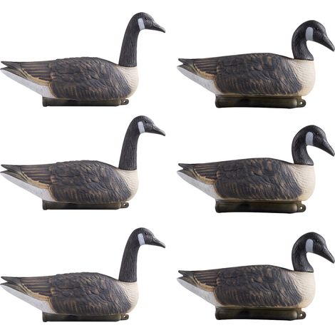 VEVOR Esche per Caccia Realistiche Oche del Canada Artificiali 6 pezzi Caccia agli Uccelli Acquatici allAperto, Oca Galleggiante in Plastica con Finitura Verniciata Decorazione Laghetti, Giardini