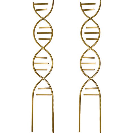 1 support pour plantes grimpantes, structure métallique dorée, 44 x 8,8 x 8,8 cm, pour pots intérieurs et extérieurs (1/5)