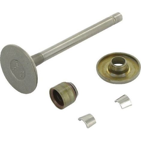 Soupape d'admission BRIGGS ET STRATTON 807680