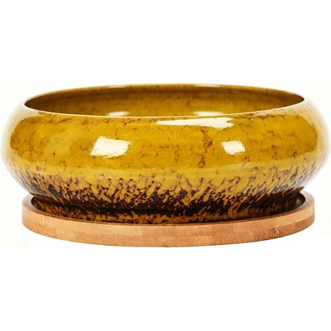 Vaso per piante grasse con foro di fissaggio, colore giallo.