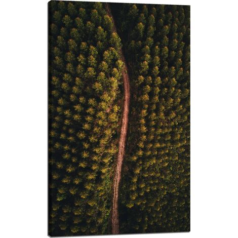 Lienzo impreso "Camino natural visto desde una perspectiva aérea" 60x100 (1/4)