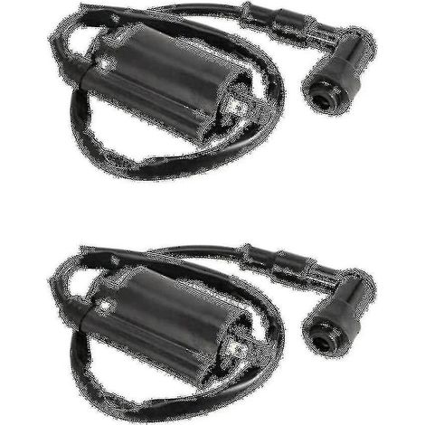 Deux bobines d'allumage pour motos, compatibles avec GS125, GN125, VX250, Virago 1100, XV1100 et XV-1100 (modèles 1995-2007). (1/5)