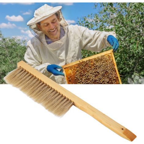 Professionelle Imkerbürste mit Holzgriff und weichen Borsten – aus ungiftigen und langlebigen Materialien (1/5)