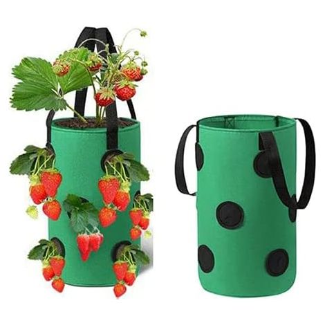 MINKUROW 2 Pezzi Sacco Per Piante Di Fragole, Sacchetti Per Coltivazione Di Fragole Da Appendere, Sacco Per Coltivazione Traspirante Per Fragole, Con Aperture Laterali E Maniglie, Riutilizzabile Per F (1/5)