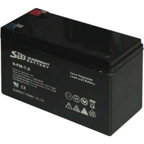 Pilas de litio de repuesto para bombas Iris Garden E-Lite (1/2)