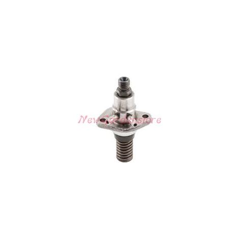 Einspritzpumpe für Motorhacken 15LD315 350 LOMBARDINI 223027