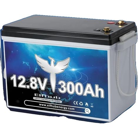 Batterie de voiture LiFePO4 avec Bluetooth intégré, BMS 200A, capacité 300Ah, 3840Wh cycle profond, 12V 300ah-BT (1/2)