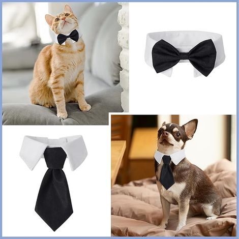tuxedo collar for dogs and cats, adjustable pet bowtie, wedding collar for cats and dogs, bow tie for dogs and cats, wedding costume for puppy (1/3)
