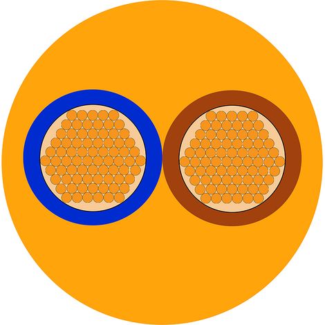 Câble d'alimentation RS PRO 2x2,5 mm², gaine PVC Orange, 50m ( Prix pour Bobine de 50 Mètres )