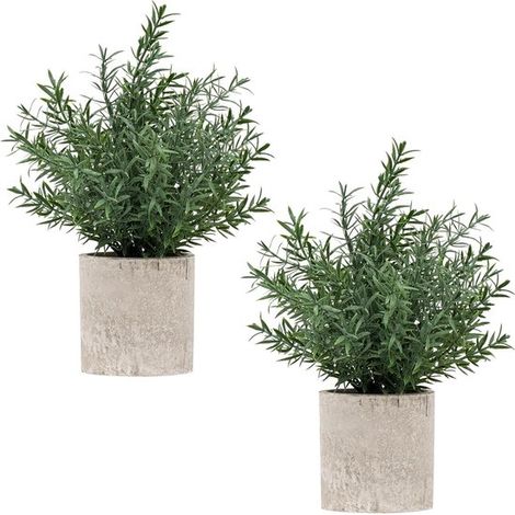 Due piccoli alberi di eucalipto artificiali, come decorazione per mensole interne, per casa/bagno/ceramica/scrivania/stile country/cou (1/5)
