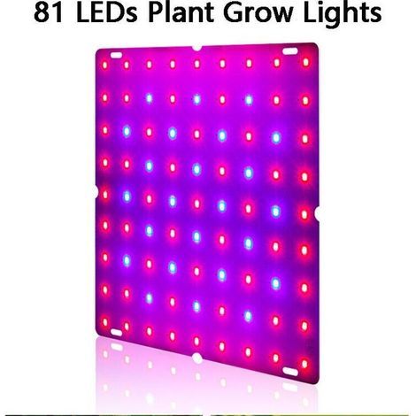 Pannello luminoso a LED a spettro completo per la coltivazione e la fioritura di piante da interno - 169 LED rossi e blu (1/5)