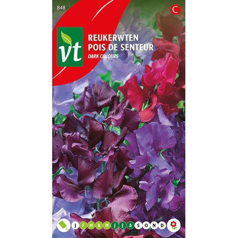 Pois De Senteur Dark Mix - Ca. 4 gr (Livraison Gratuite) (1/3)