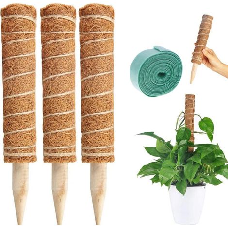 3Pcs Poteau de mousse pour plantes grimpantes, support d'extension, supports pour palmiers et vignes, balcon intérieur, décoration de jardin 40cm (1/5)