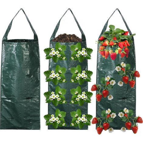 Sac de Culture Potager à 8 Trous 3 Pièces Sac de Plantation Sacs de Plantation Suspendus Verticaux Culture Fraises Tomates Légumes (1/4)