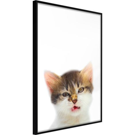 Affiche Murale Encadrée "Funny Kitten" 30 x 42 cm Noir