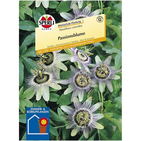 Sperli Passionsblumen - Blumensamen (1/3)