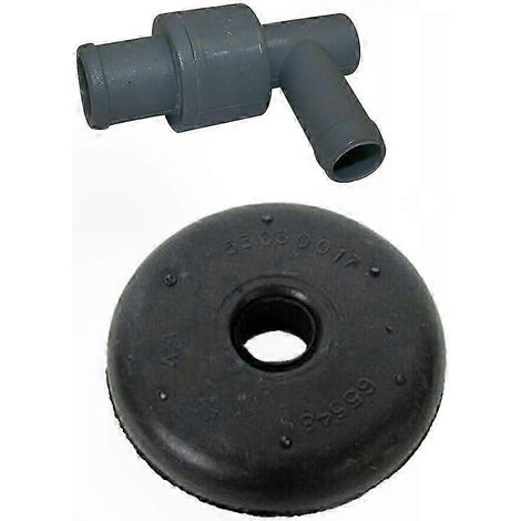 Kit de remplacement de soupape et de joint compatible avec les véhicules Dodge Ram Jeep, moteurs V8 5,2 L et 5,9 L, références : 5175352AA, 53031135 et 53030017 (1/5)