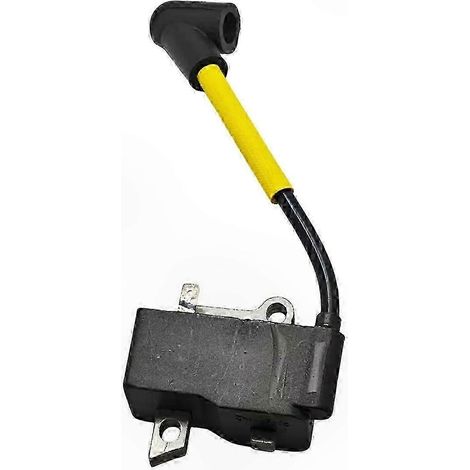 Module de bobine d'allumage pour moteur Walbro, compatible avec plusieurs modèles (1/4)