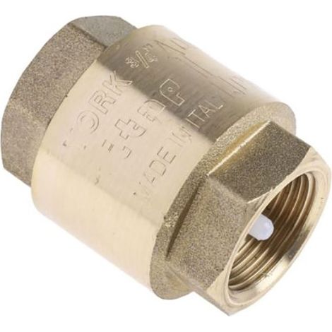 Clapet antiretour en Laiton RS PRO BSPP 3/4" ( Prix pour 1 ) (1/3)