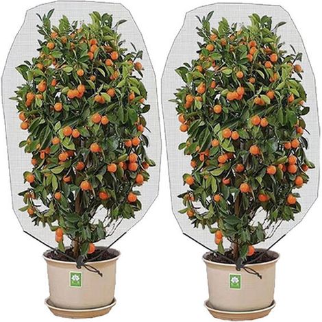 royaluxe -Lot de 2 filets pour arbres fruitiers, filet pour plantes 140 x 120 cm, sacs de protection des arbres, protégeant les arbres fruitiers des insectes et des oiseaux (1/4)