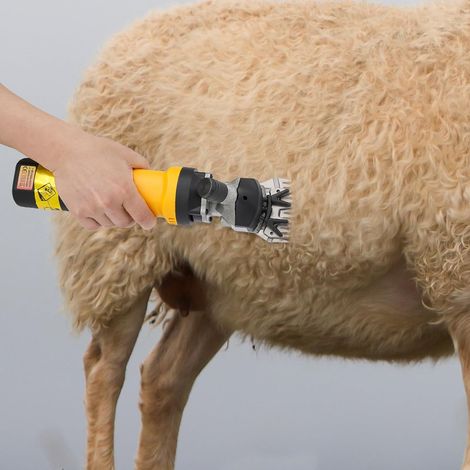 Tondeuse électrique 2 en 1 - 690 W - 6 vitesses réglables - Peut être utilisée pour tondre les moutons, les chèvres et les lapins, ainsi que pour les tapis touffetés