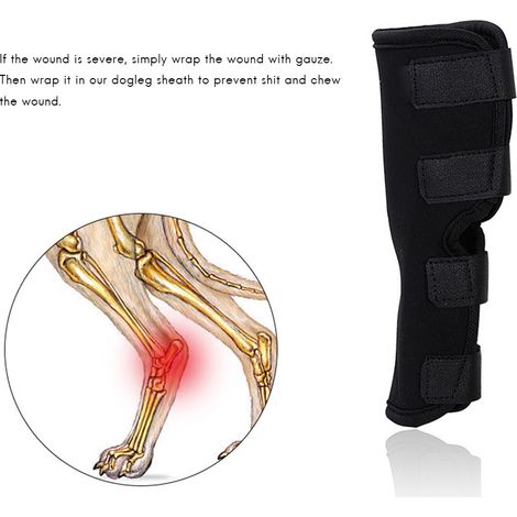 [Artículos para mascotas] Soporte para patas de perro con tobilleras – Tallas S, M, L, XL (Tejido de nailon) – Protección articular y postoperatoria para el dolor, la inflamación y la inestabilidad (1/5)