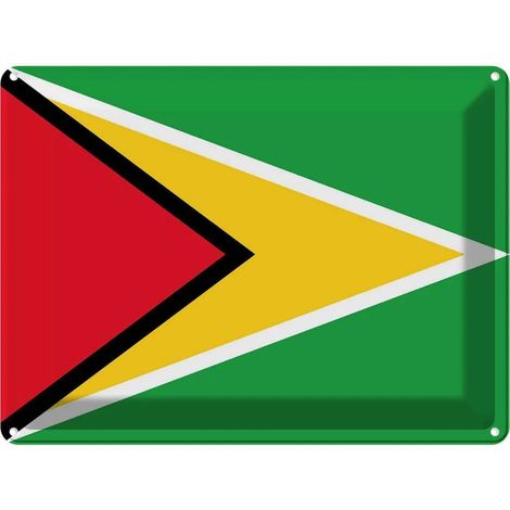 Plaque métallique 30x40 cm, blason du drapeau du Guyana (1/5)
