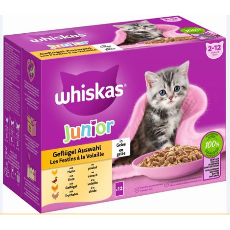 Whiskas Mulitpack Junior Geflügelauswahl in Gelee Katzenfutter 12 x 85 g