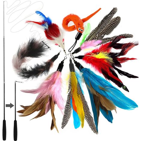 Jouet Chat Plume, Jouets pour Chats à Plumes, 1 Rétractable Canne à Pêche Chat Jouet avec 8 Recharges,Interacti pour l'intérieur Chats et Chatons(9 PCS) (1/5)