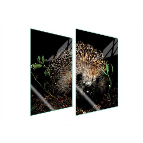 PLAQUE DE PROTECTION EN VERRE POUR CUISINE 2x35x52 HÉRISSON (1/5)