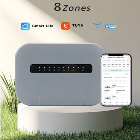 1 kit Spécifications : 8 zones Couleur : Gris Matériau : Plastique Norme européenne AC220V Graffiti Wi-Fi
