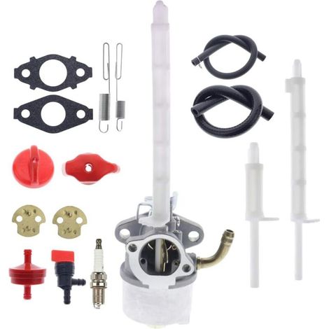 794587 798917 790558 791953 791292 carburateur soufflé à neige avec kit de filtre à carburant à bougie d'allumage (1/5)